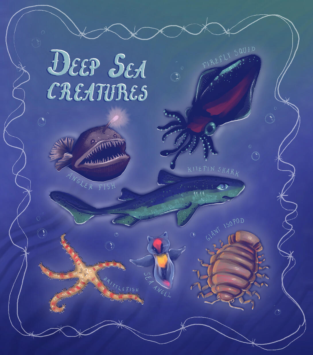 Deep Sea Creatures